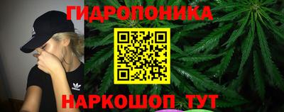 ALPHA PVP Канаш