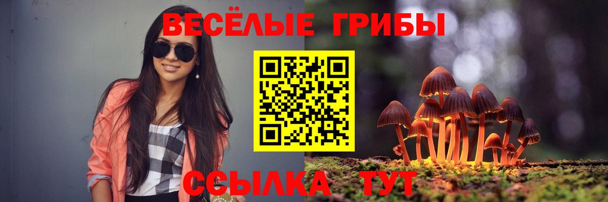 Галлюциногенные грибы GOLDEN TEACHER Костомукша